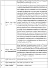 Figure imgf000093_0001