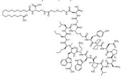 Figure imgf000562_0001