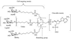 Figure imgf000136_0001
