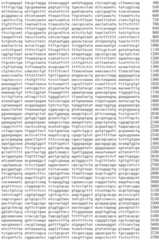 Figure IDA0002536600790000381