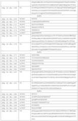 Figure PCTCN2019114818-appb-000022