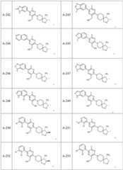 Figure BDA0003731387960001161