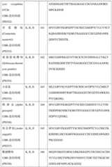 Figure BDA0004113681710000631