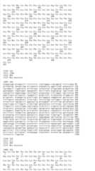 Figure IDA00003225796500541