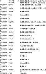 Figure BDA0000057170160001711