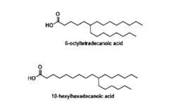 Figure imgf000086_0001