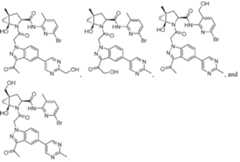 Figure imgf000133_0002