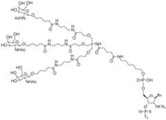 Figure imgf000305_0001