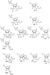 Figure imgf000292_0001