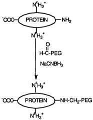 Figure imgf000019_0001