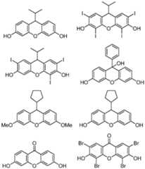 Figure imgf000161_0001