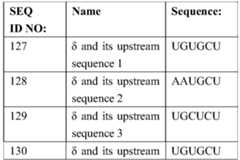 Figure PCTCN2022095749-appb-000034