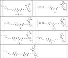 Figure PCTCN2022073822-appb-000422