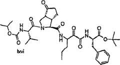 Figure G2009101493490D01952