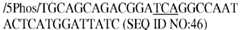 Figure imgb0046