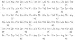 Figure 111115932-A0305-02-0024-17