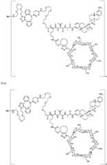 Figure BDA0002889616220001741