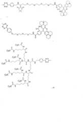 Figure imgf000466_0001