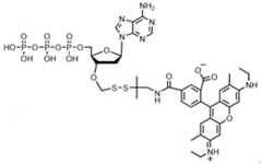 Figure imgf000245_0001