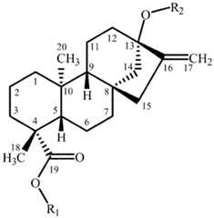 Figure imgf000007_0001