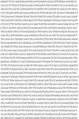 Figure BDA0003658655810002871