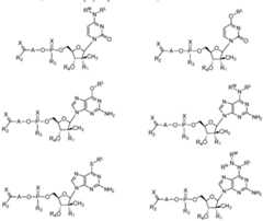 Figure imgf000091_0001