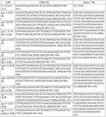 Figure BDA0003627552160002411