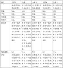 Figure GDA0002731146240002081