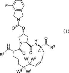 Figure DPA00001530935100011