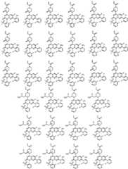 Figure FDA0002861043510000251