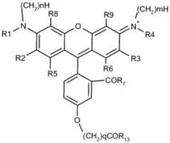 Figure imgf000019_0002