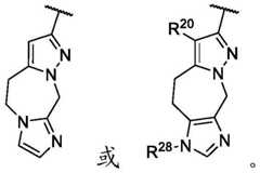 Figure FDA0002911816750000173