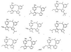 Figure imgf000037_0001