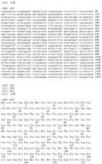 Figure IDA00002091897103831