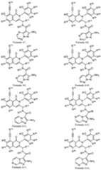 Figure imgf000236_0001