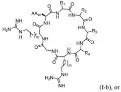 Figure imgf000272_0001