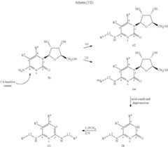 Figure US08178671-20120515-C00070