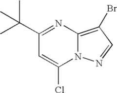 Figure US07119200-20061010-C00819