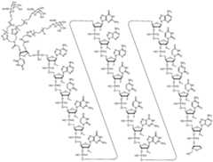 Figure imgf000031_0001