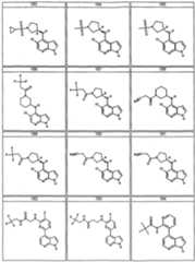Figure imgf000045_0001