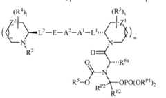 Figure imgf000106_0002