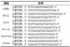 Figure DEST_PATH_IMAGE003