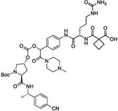 Figure BDA0004113777320001482