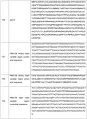 Figure imgf000181_0001