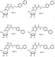 Figure imgf000006_0002