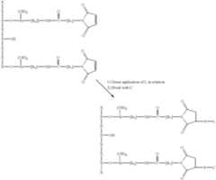 Figure US06306665-20011023-C00012