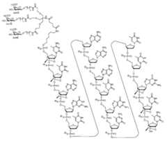 Figure 0007422816000005