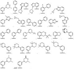 Figure imgf000091_0001