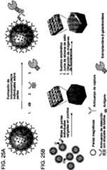 Figure imgf000084_0001