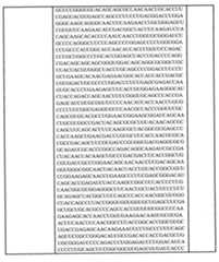 Figure 0007438604000022